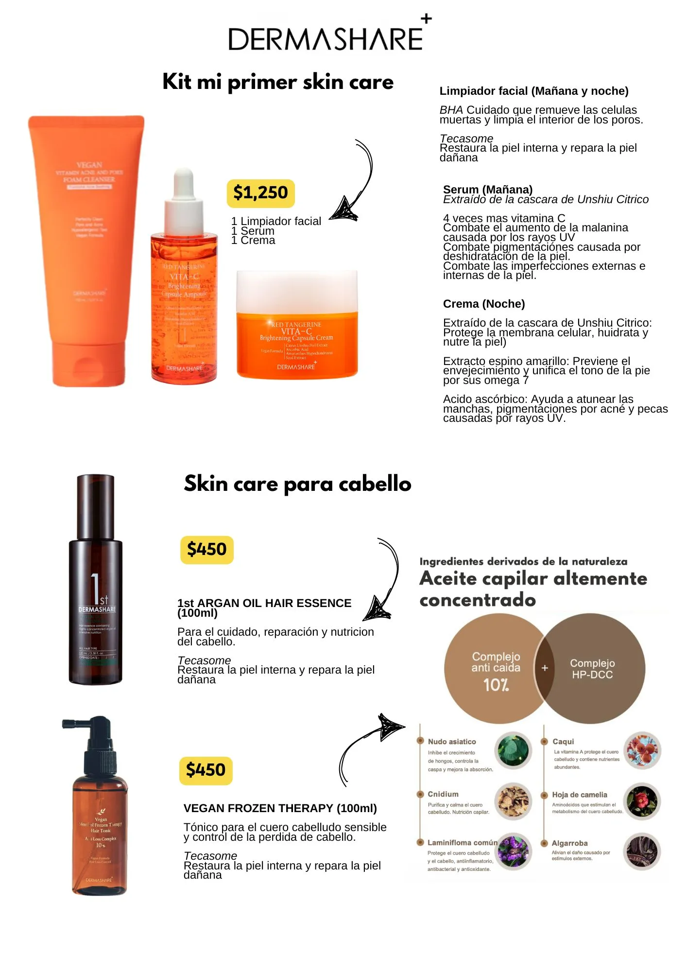 CATALOGO