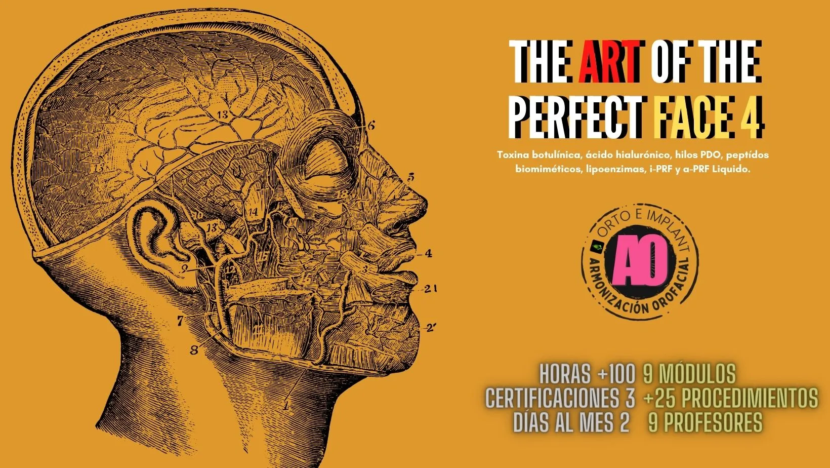 diplomado en armonización orofacial 