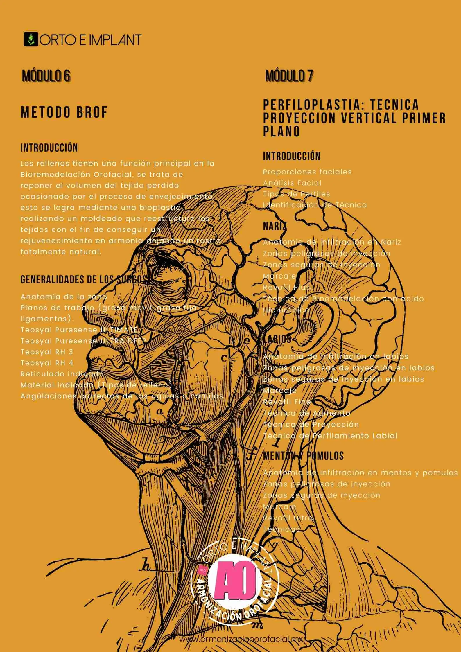 ARMONIZACION OROFACIAL