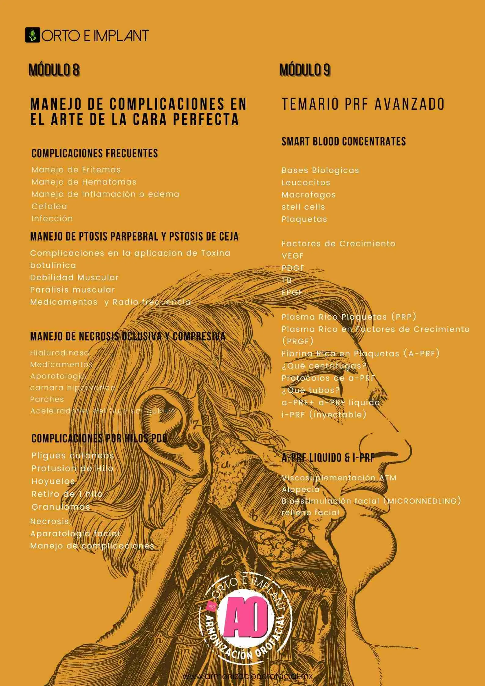 ARMONIZACION OROFACIAL