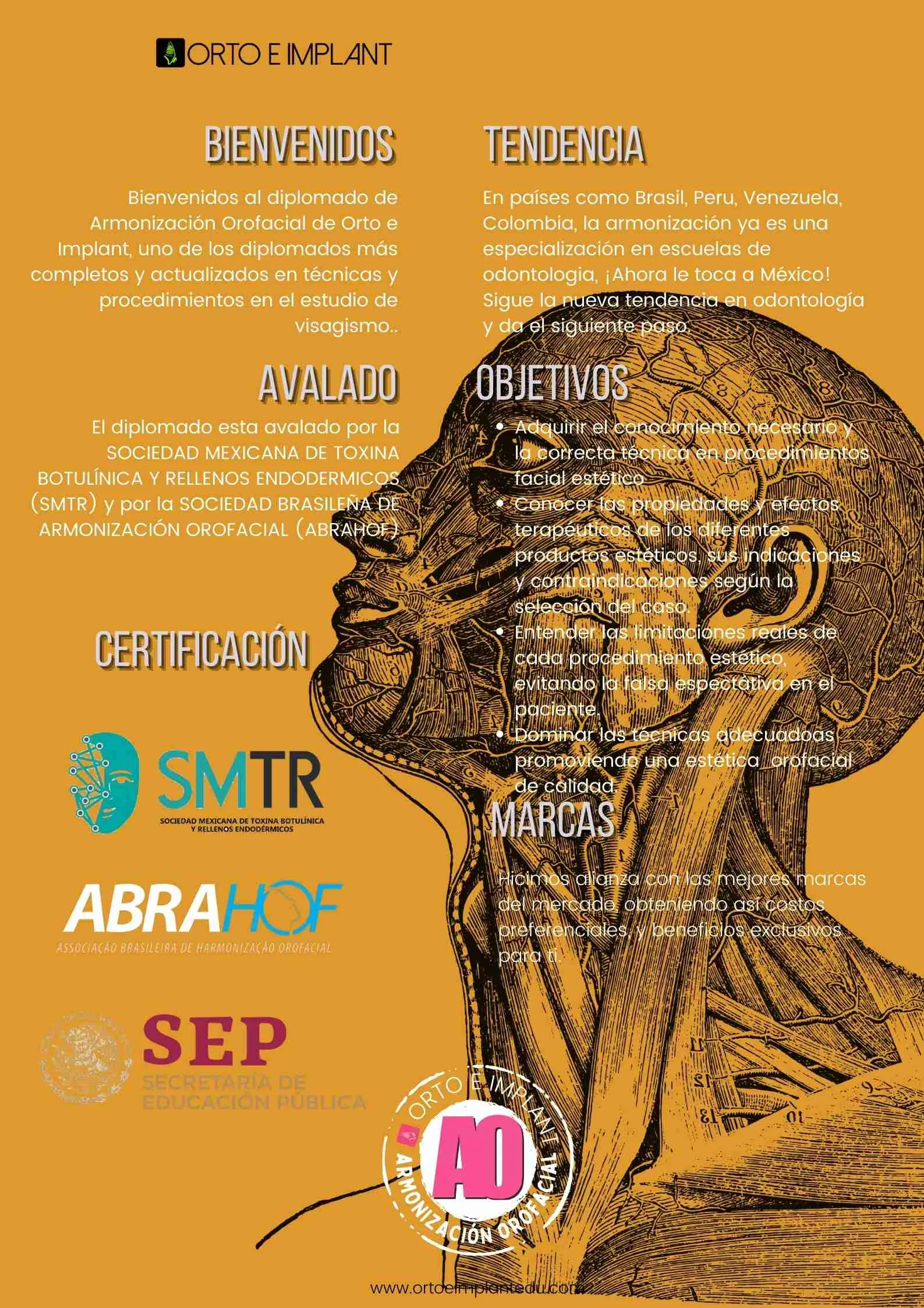 ARMONIZACION ORAFACIAL