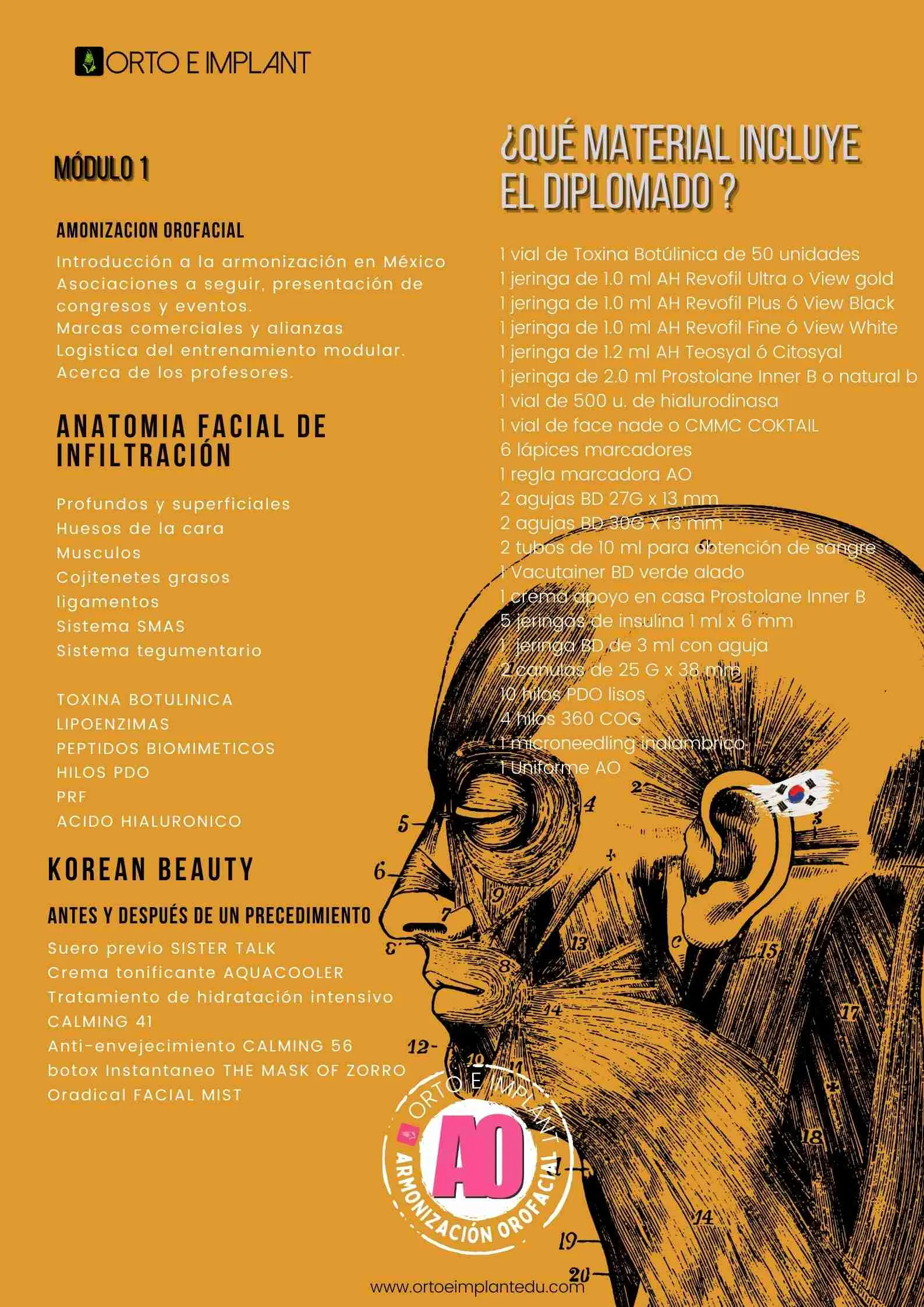 ARMONIZACION ORAFACIAL