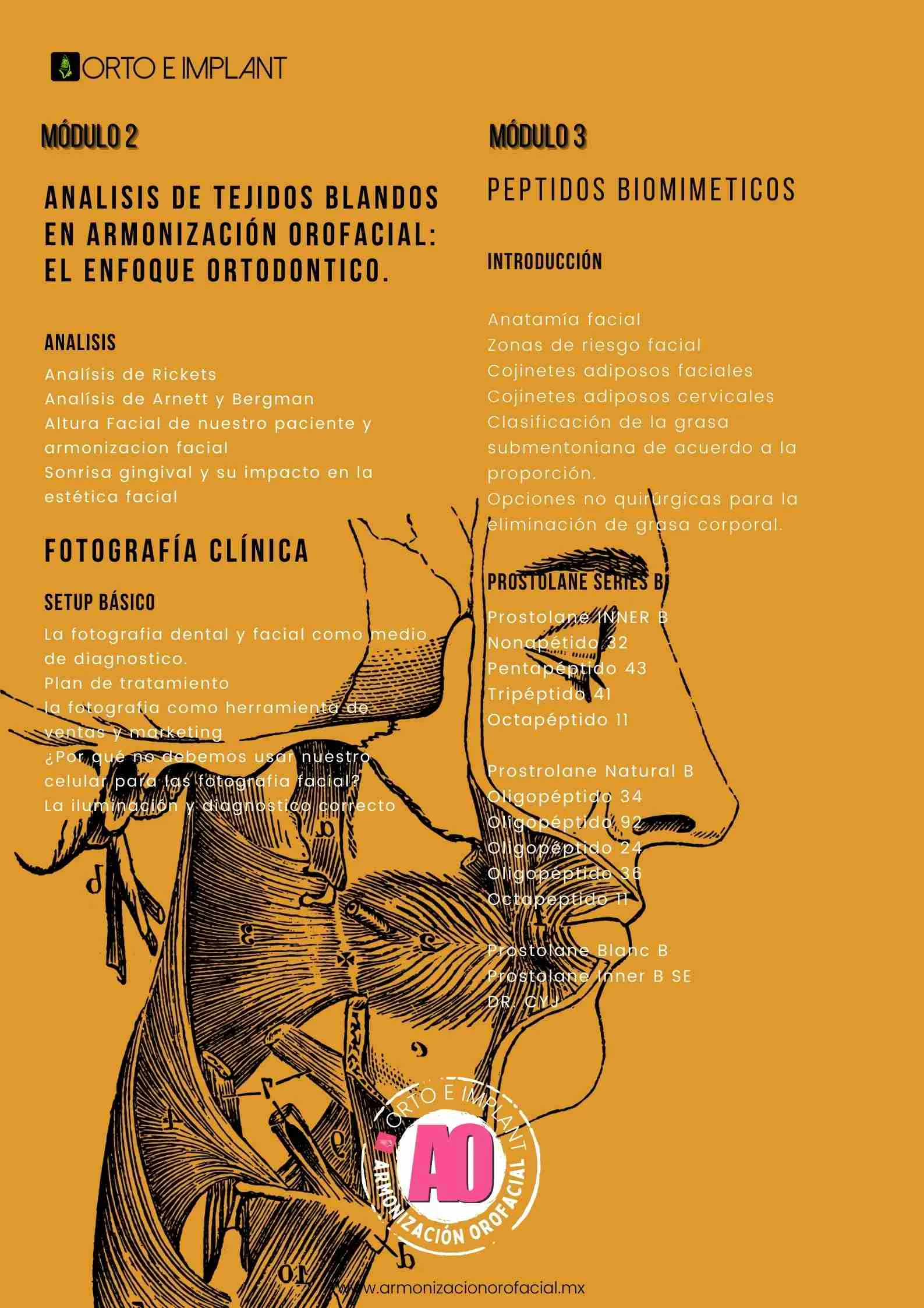 ARMONIZACION ORAFACIAL