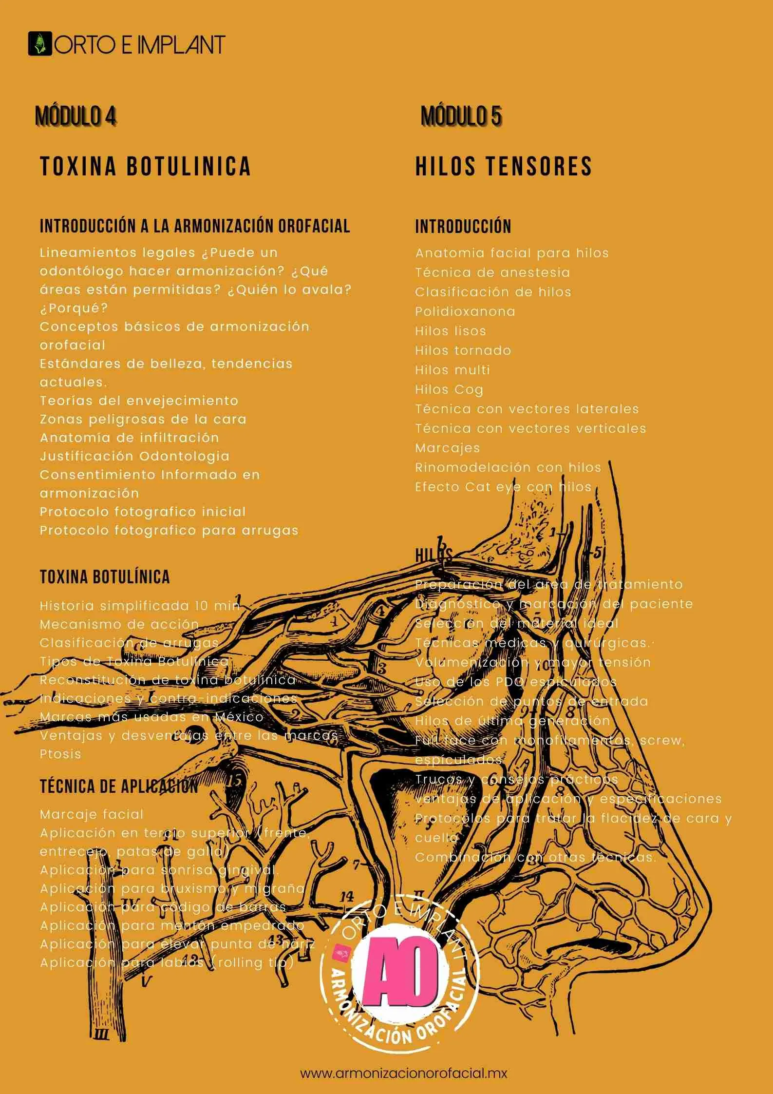 ARMONIZACION OROFACIAL